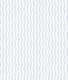 IMAGE_T