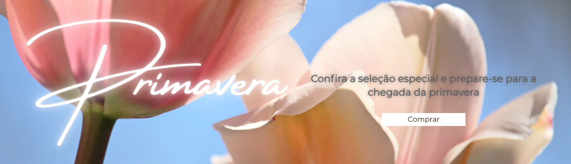 primavera_desk