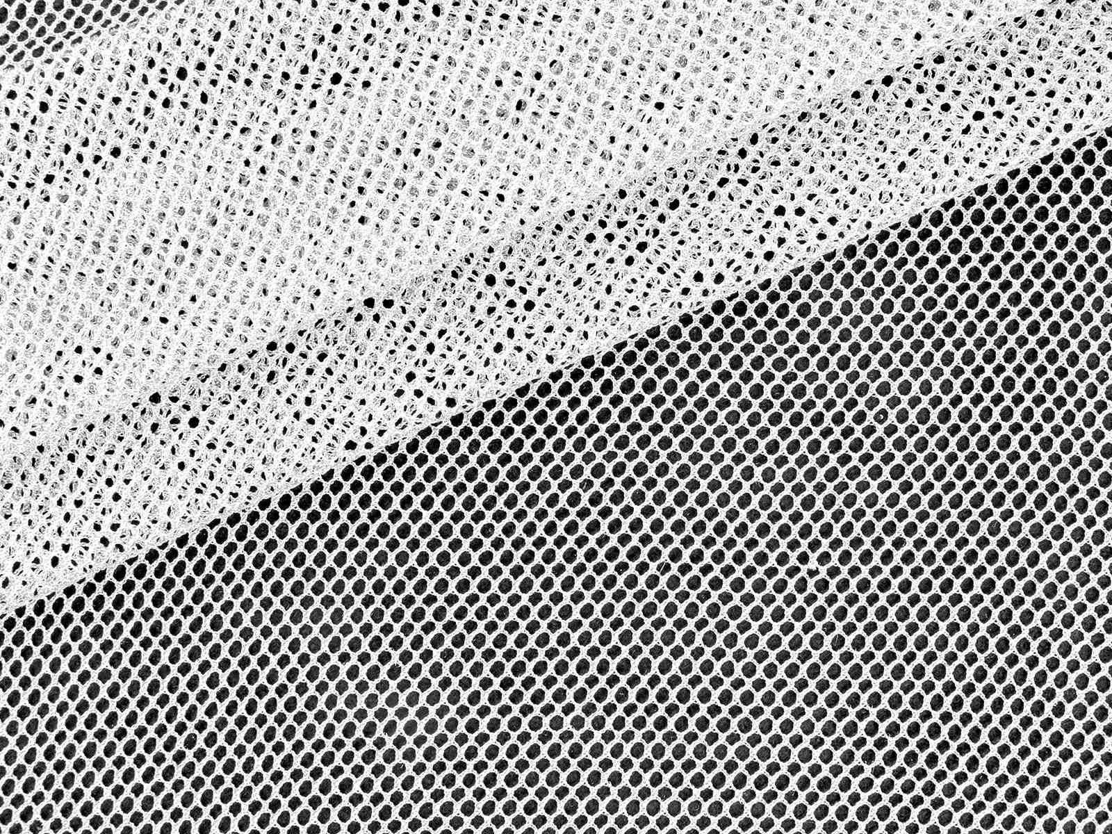 IMAGE_L