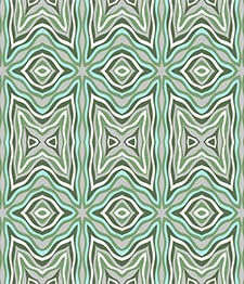 IMAGE_T
