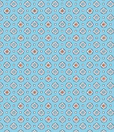 IMAGE_T