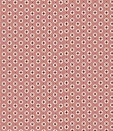 IMAGE_T