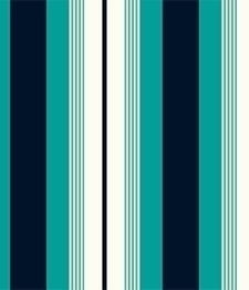 IMAGE_T
