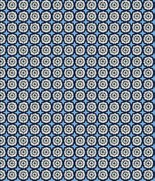 IMAGE_T
