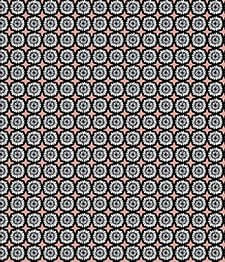 IMAGE_T