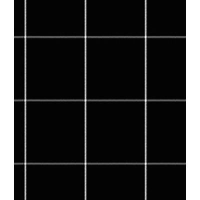 IMAGE_T