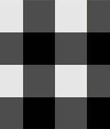 IMAGE_T
