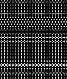IMAGE_T