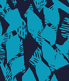 IMAGE_T