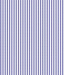 IMAGE_T