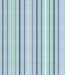 IMAGE_T
