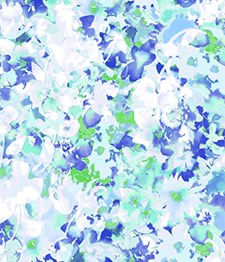 IMAGE_T
