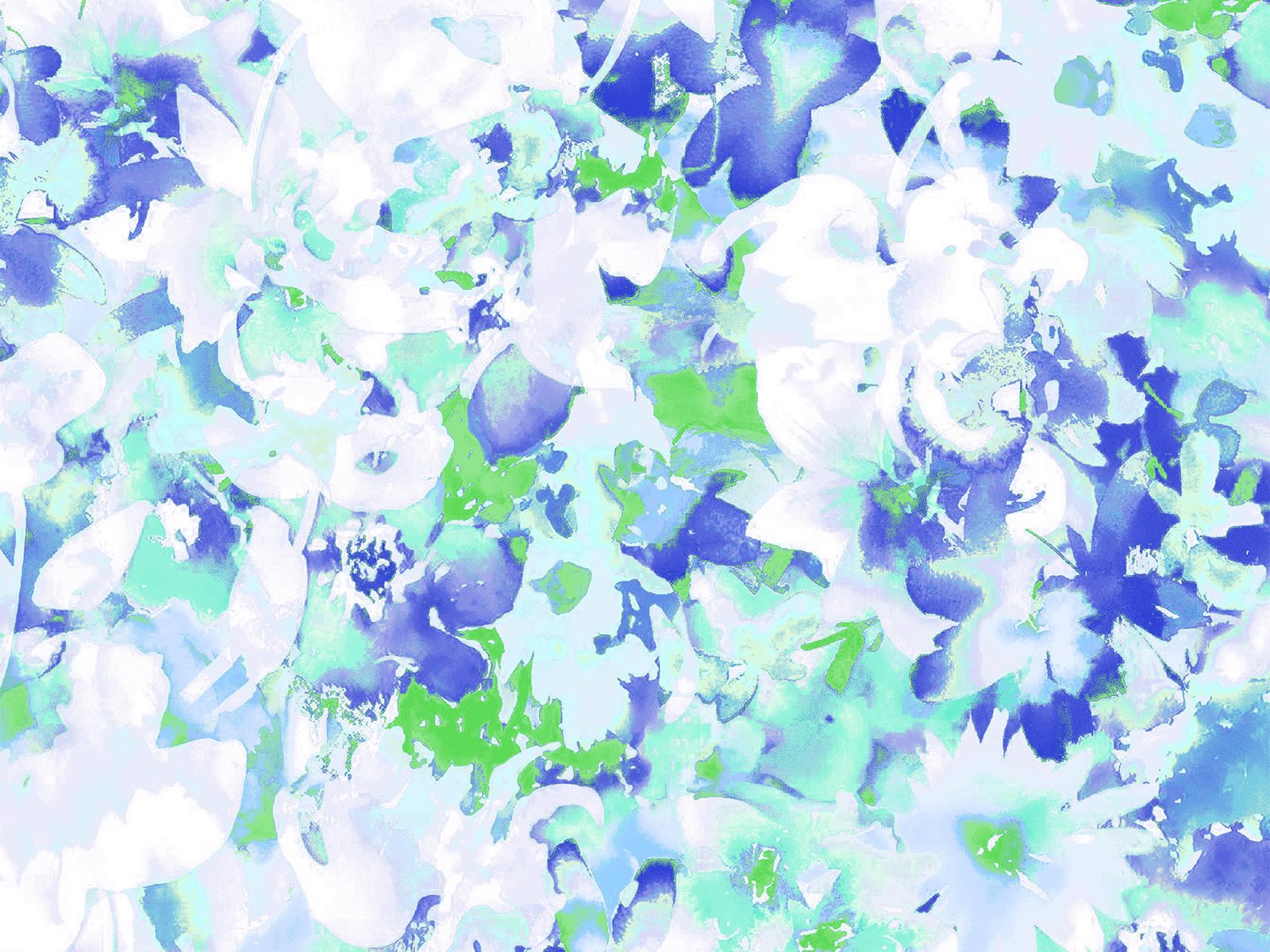 IMAGE_L