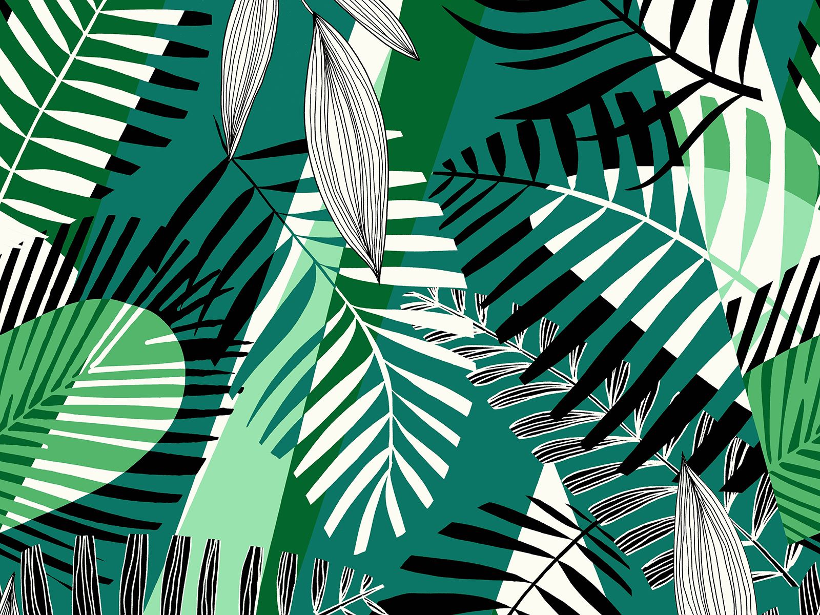 IMAGE_L