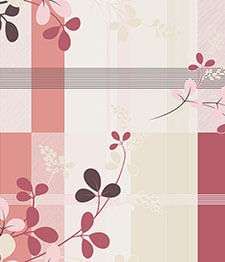 IMAGE_T