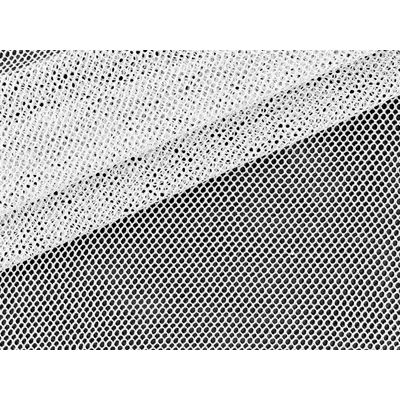 IMAGE_L
