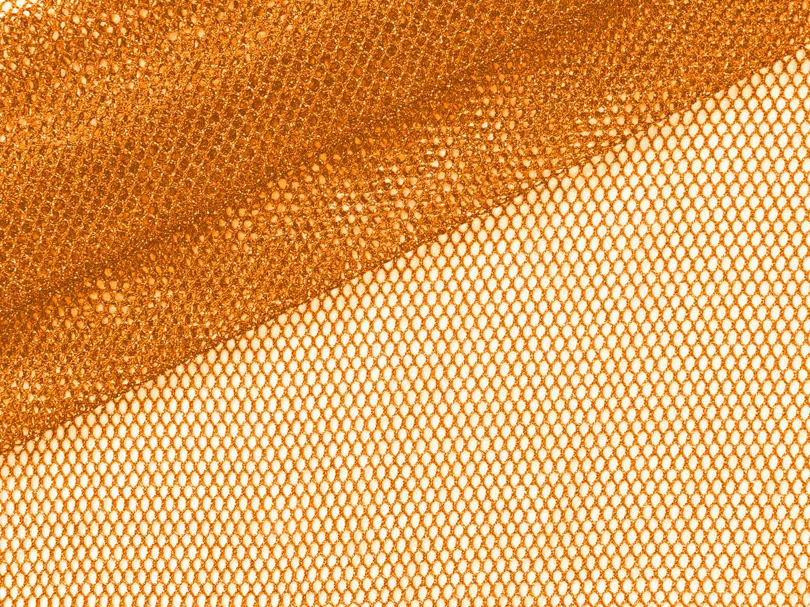 IMAGE_L
