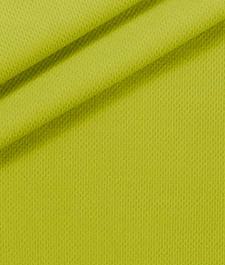 IMAGE_T