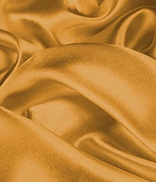 IMAGE_T