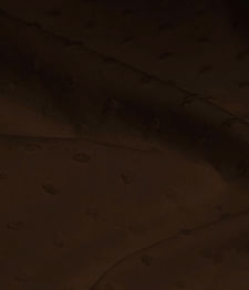 IMAGE_T