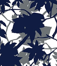 IMAGE_T