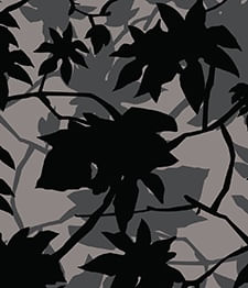 IMAGE_T