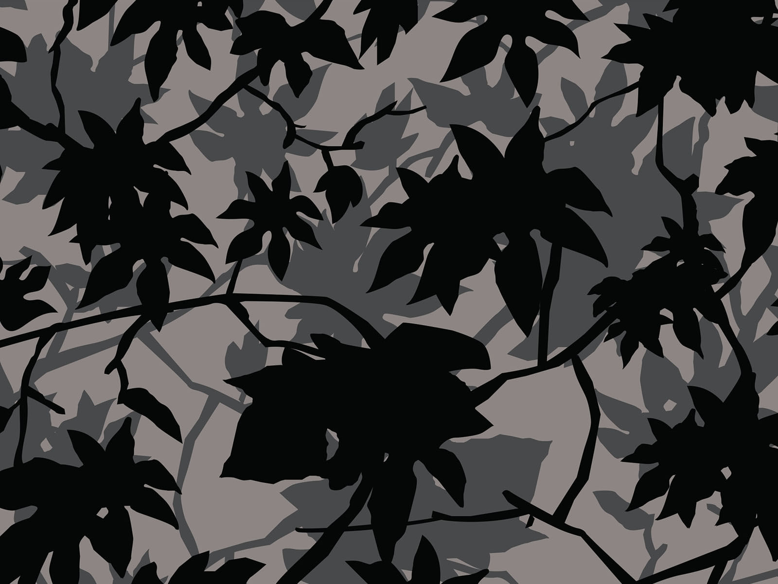 IMAGE_L