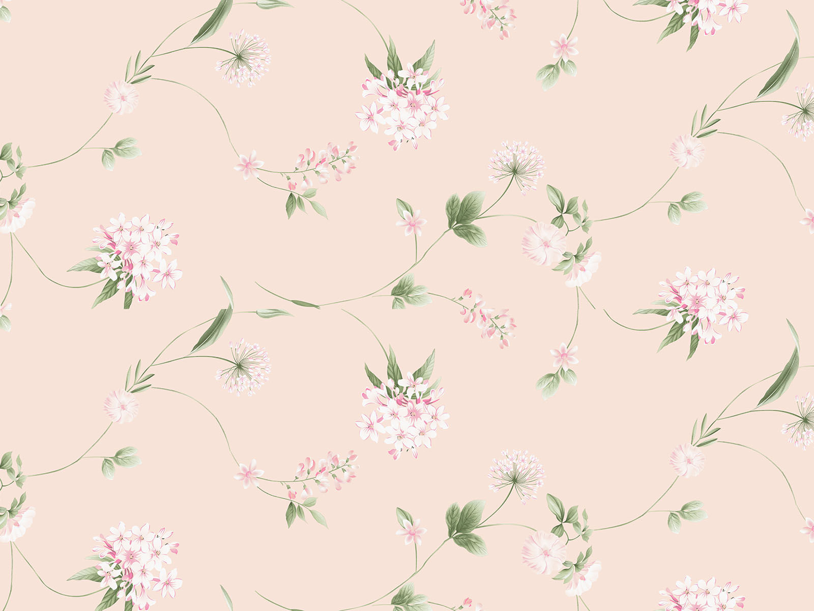 IMAGE_L