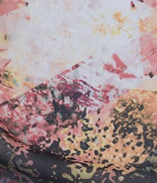 IMAGE_T