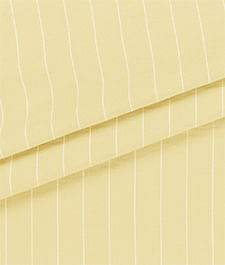 IMAGE_T