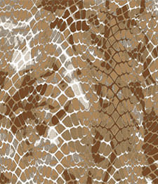 IMAGE_T