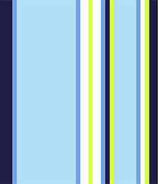 IMAGE_T
