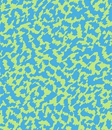 IMAGE_T