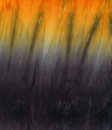 IMAGE_T