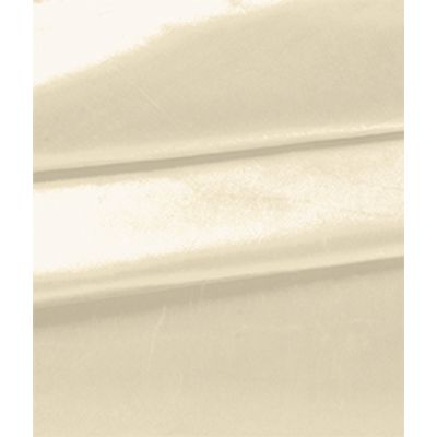 IMAGE_T