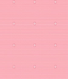 IMAGE_T