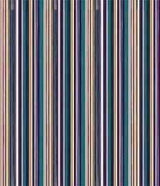 IMAGE_T