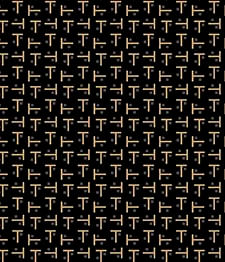 IMAGE_T