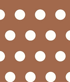 IMAGE_T
