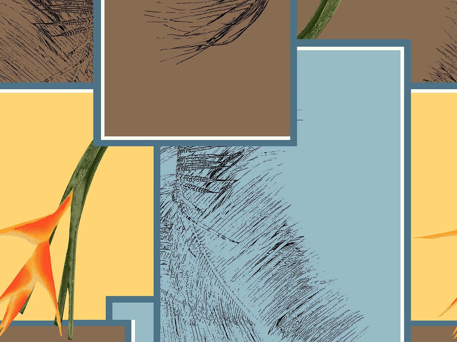 IMAGE_L
