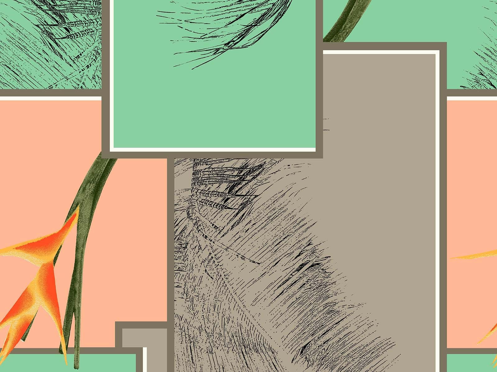 IMAGE_L