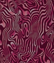 IMAGE_T