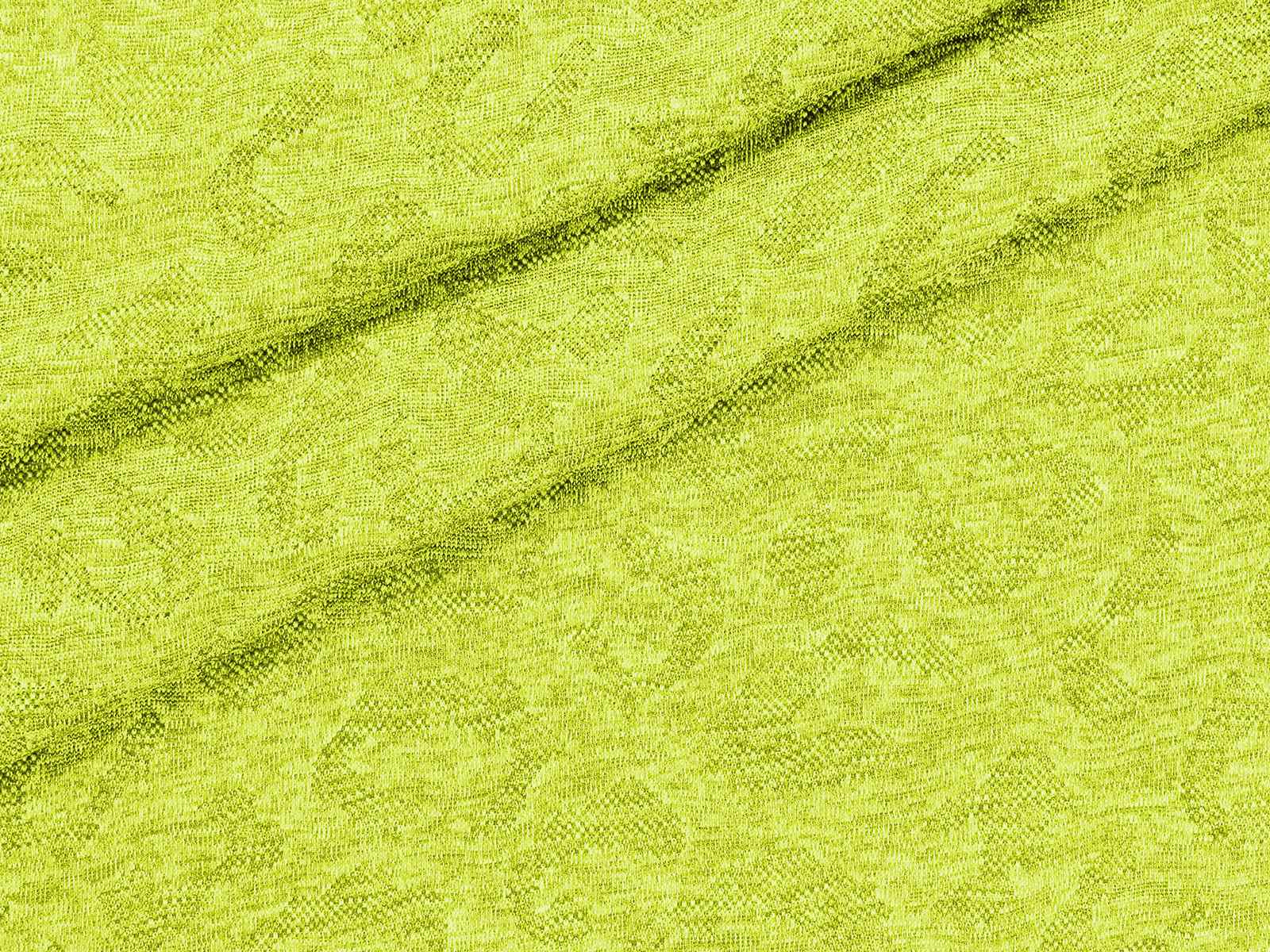 IMAGE_L