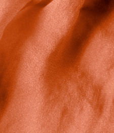 IMAGE_T