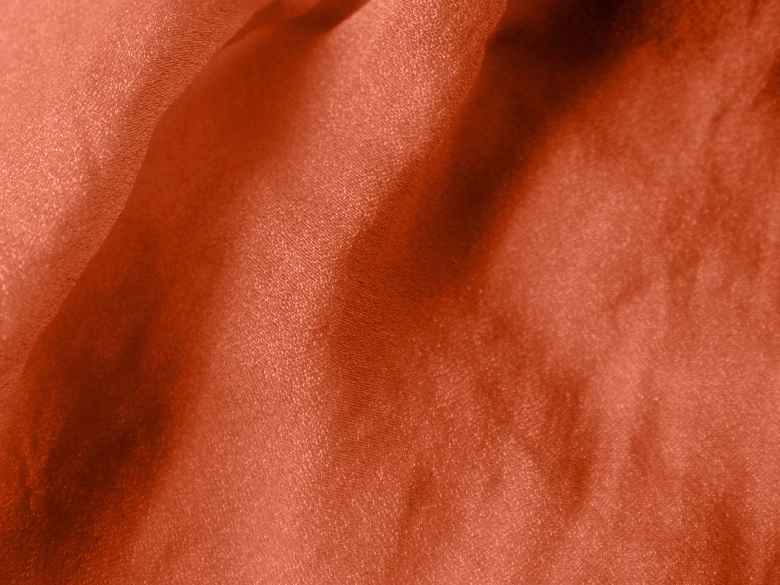 IMAGE_L