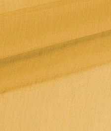 IMAGE_T