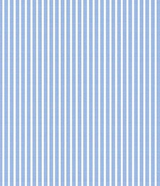 IMAGE_T