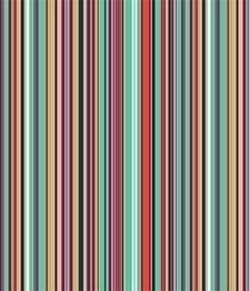 IMAGE_T