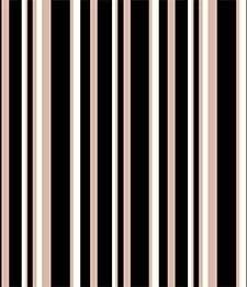 IMAGE_T