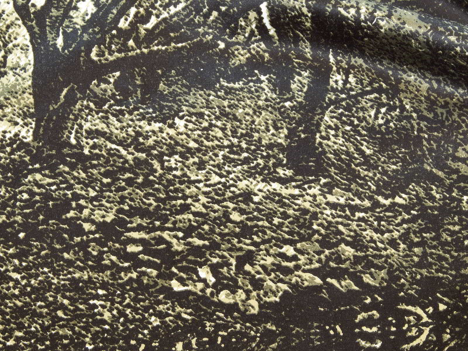 IMAGE_L